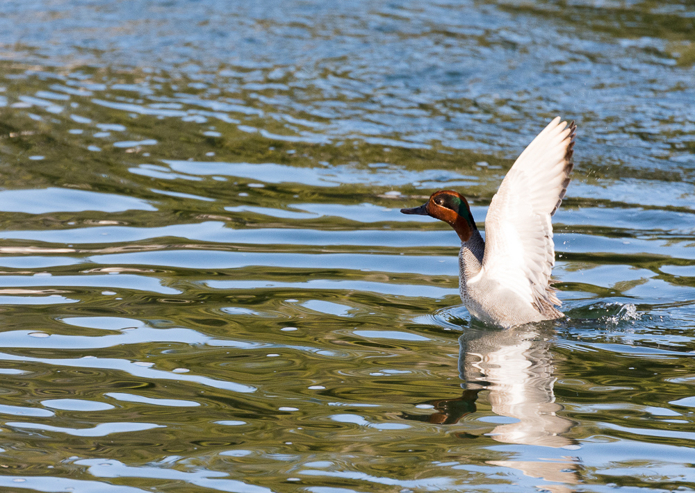 Lin and Michael's Photos