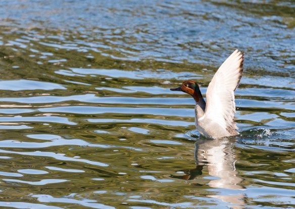 Lin and Michael's Photos