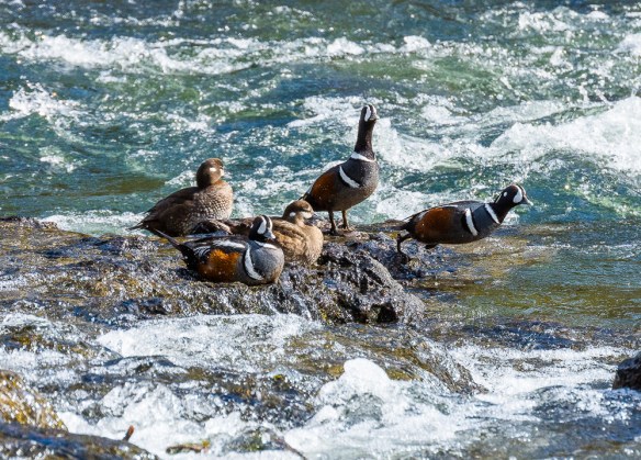 Lin and Michael's Photos