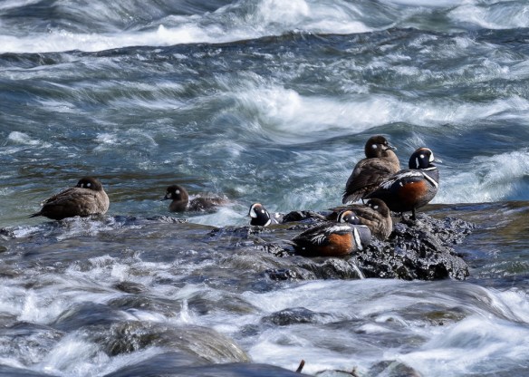 Lin and Michael's Photos