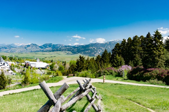 Lin and Michael's Photos