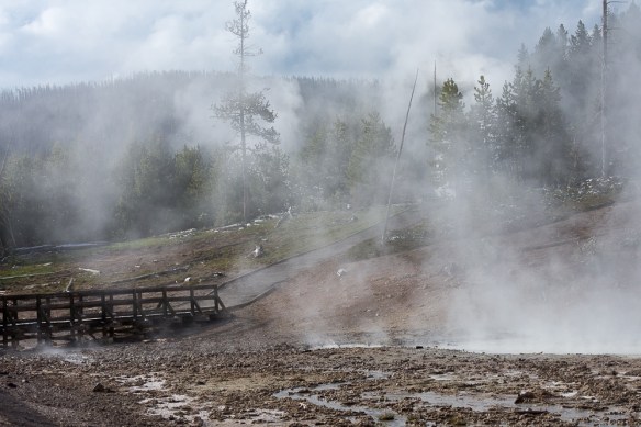 Lin and Michael's Photos