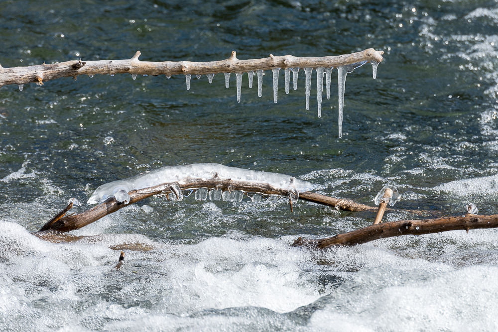 Lin and Michael's Photos