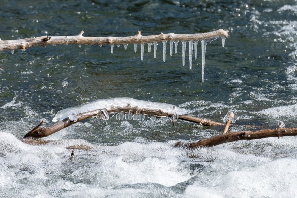 Lin and Michael's Photos