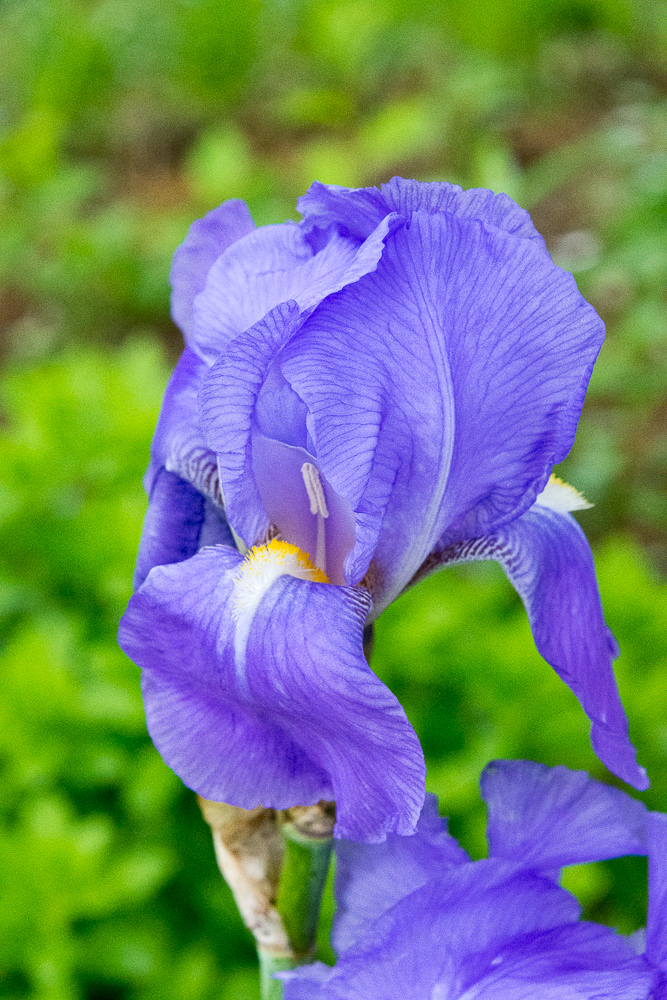 Lin and Michael's Photos