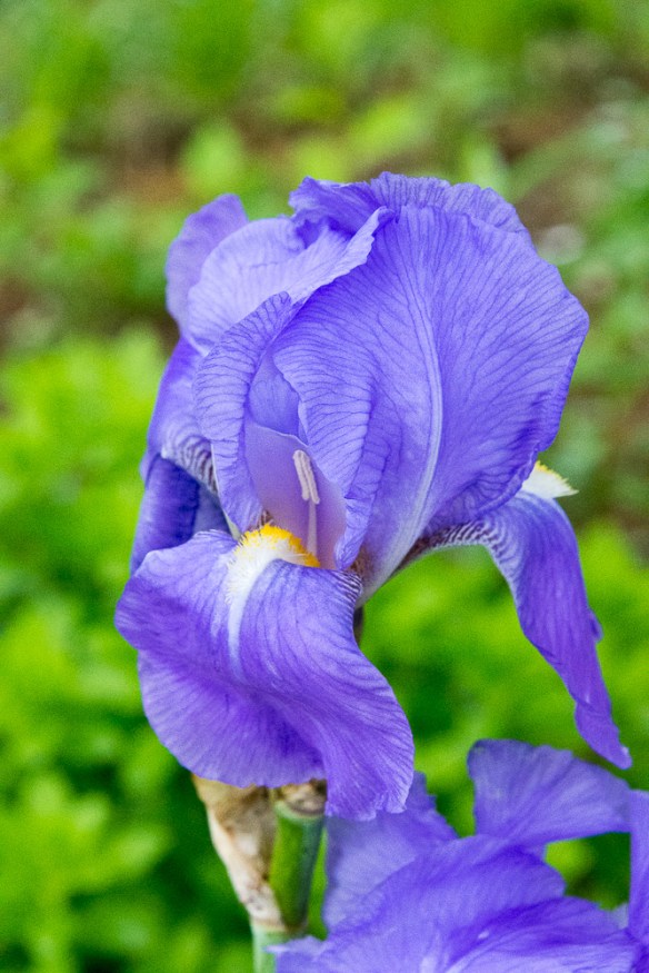 Lin and Michael's Photos