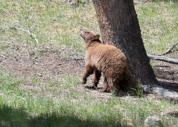 Lin and Michael's Photos