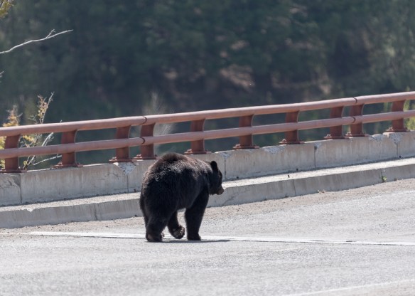 Lin and Michael's Photos