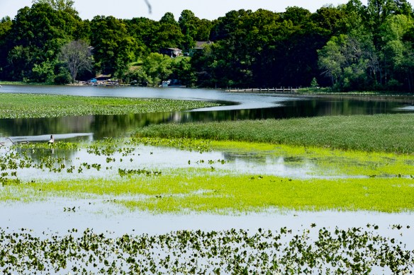 Lin and Michael's Photos