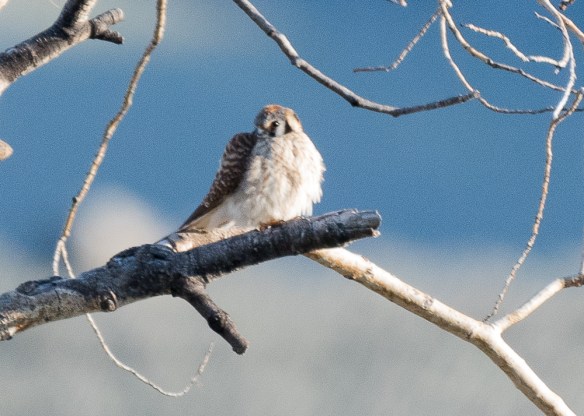 Lin and Michael's Photos