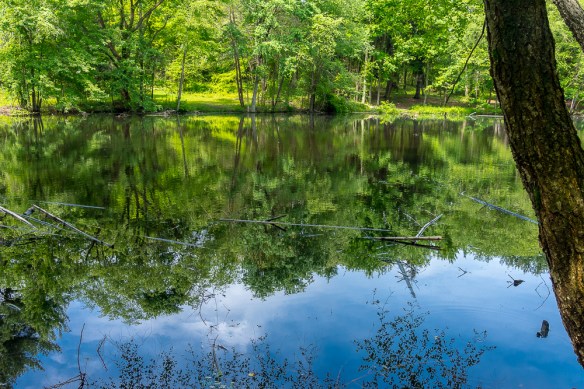 Lin and Michael's Photos