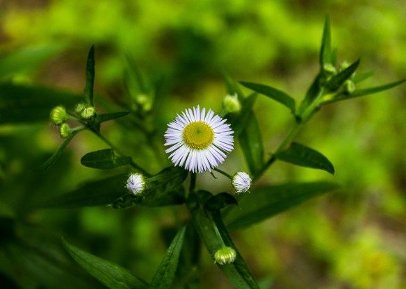 Lin and Michael's Photos