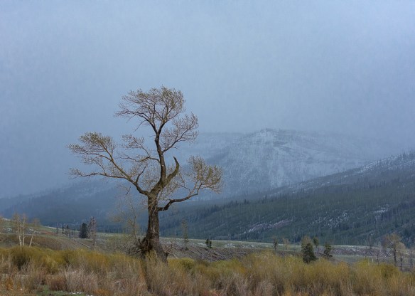 Lin and Michael's Photos