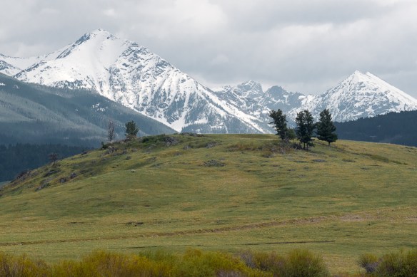 Lin and Michael's Photos