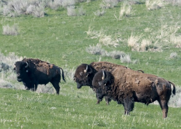 Lin and Michael's Photos