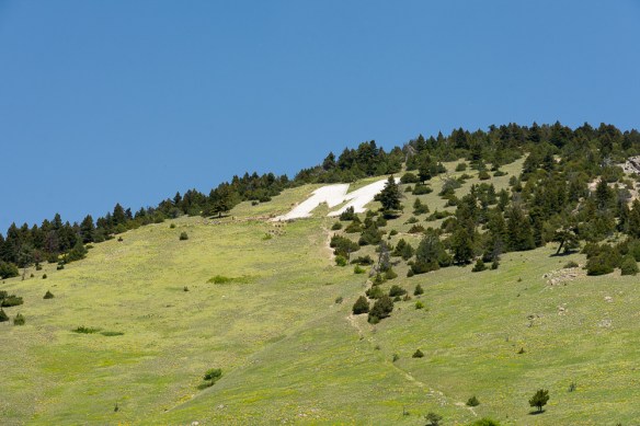 Lin and Michael's Photos