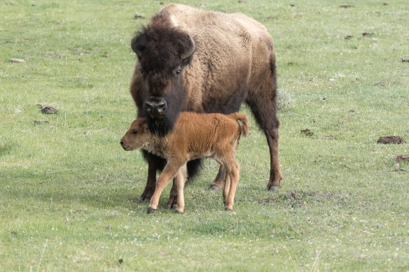 Lin and Michael's Photos