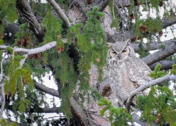 Lin and Michael's Photos