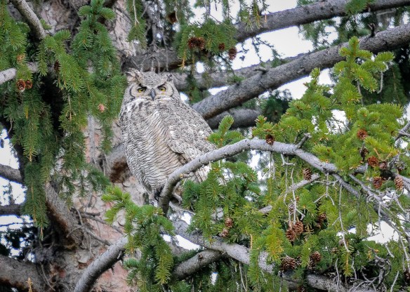 Lin and Michael's Photos