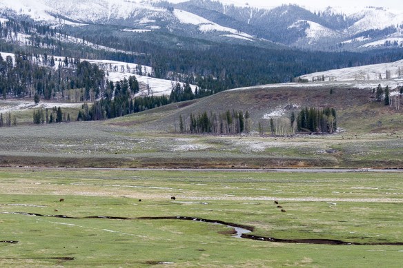 Lin and Michael's Photos