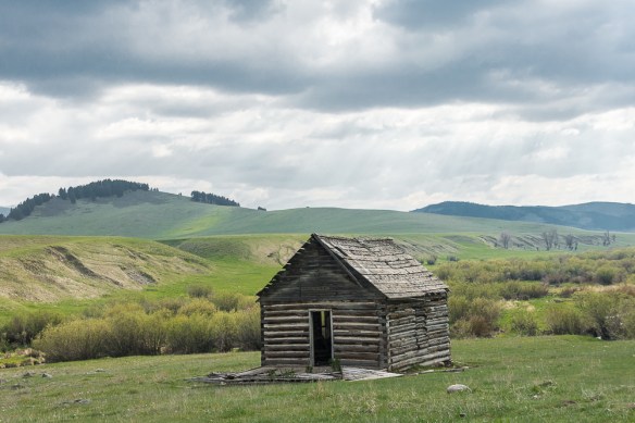 Lin and Michael's Photos