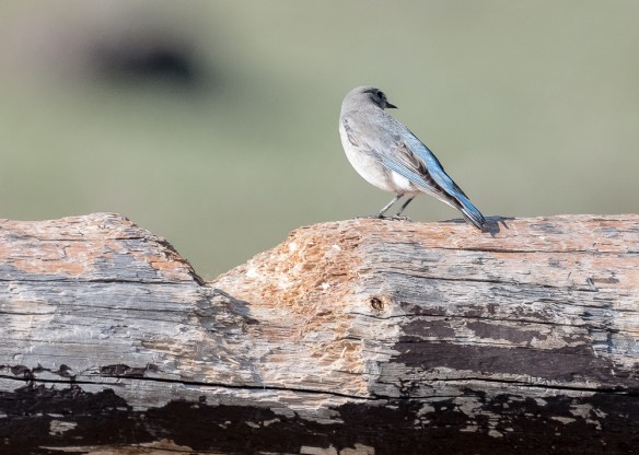 Lin andMichael's Photos