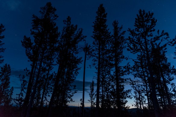 Lin and Michael's Photos