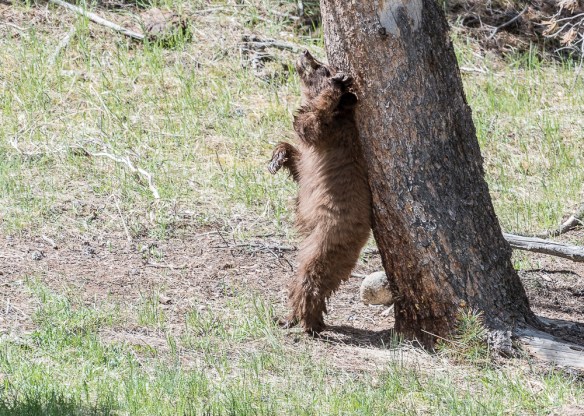 Lin and Michael's Photos