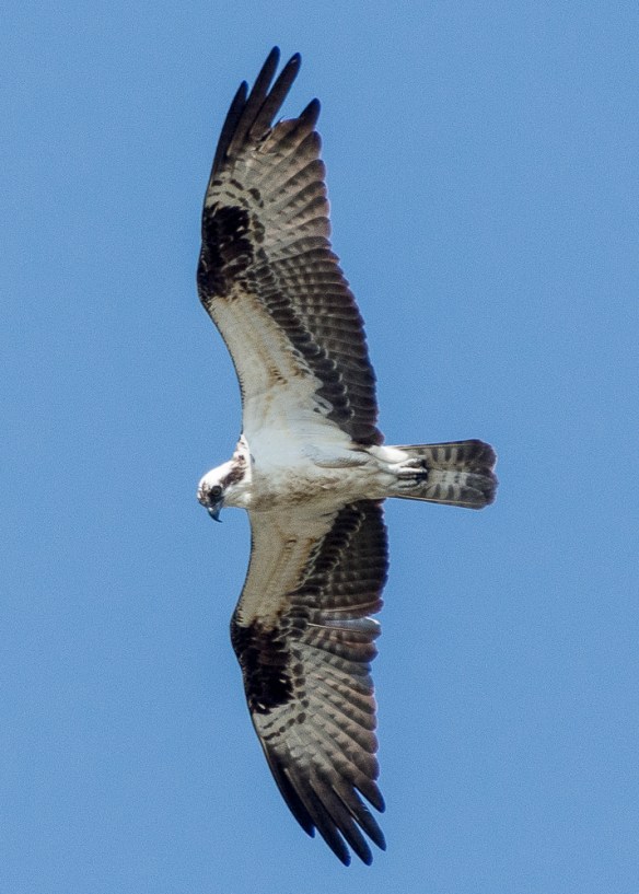 Lin and Michael's Photos