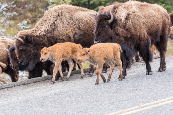 Lin and Michael's Photos