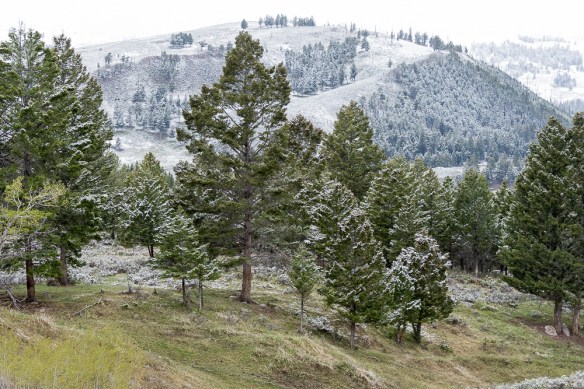 Lin and Michael's Photo