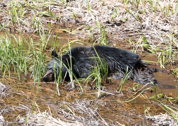 Lin and Michael's Photos