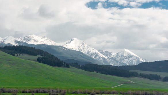 Lin and Michael's Photos