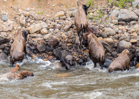 Lin and Michael's Photos