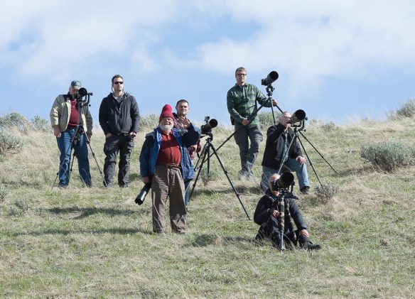 Lin and Michael's Photos