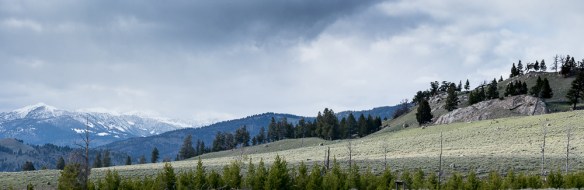 Lin and Michael's Photos