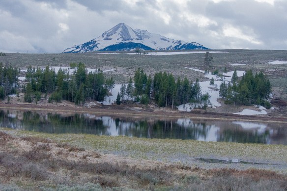 Lin and Michael's Photos