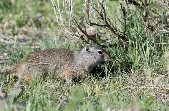 Lin and Michael's Photos