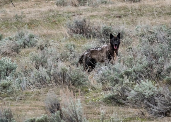 Lin and Michael's Photos