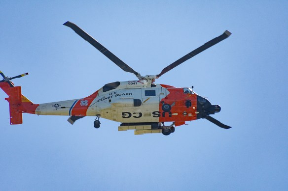 Lin and Michael's Photos