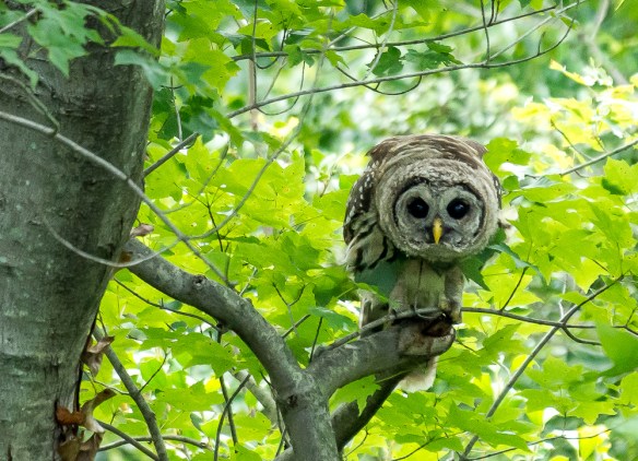 Lin and Michael's Photos