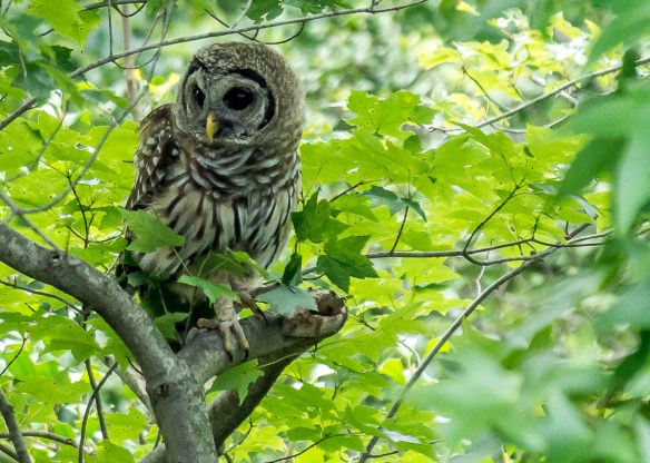 Lin and Michael's Photos