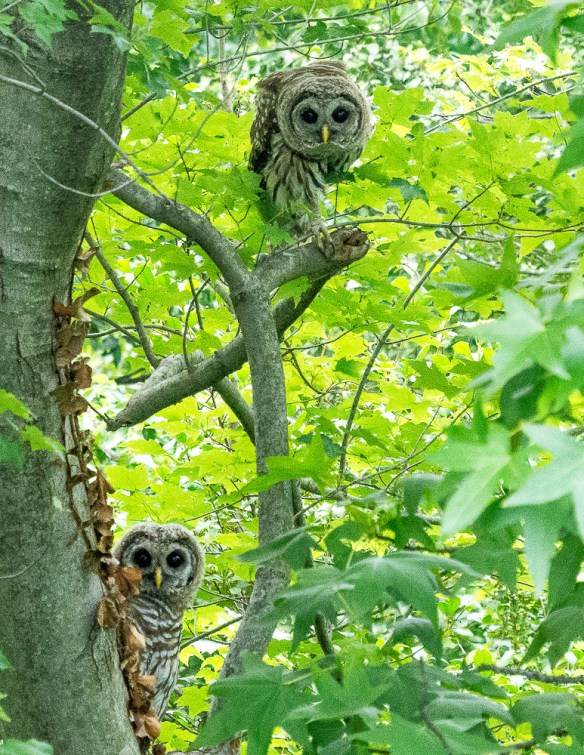 Lin and Michael's Photos