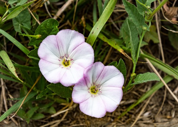 Lin and Michael's Photos