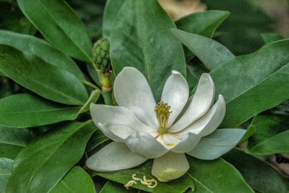 Lin and Michael's Photos