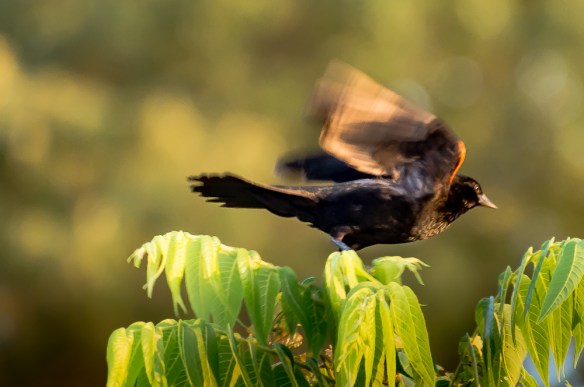 Lin and Michael's Photos