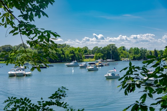 Lin and Michael's Photos