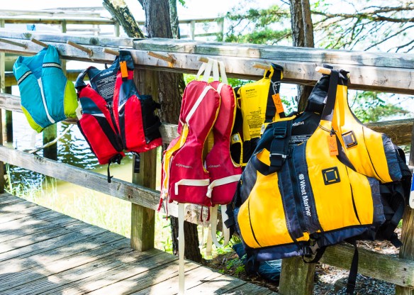 Lin and Michael's Photos