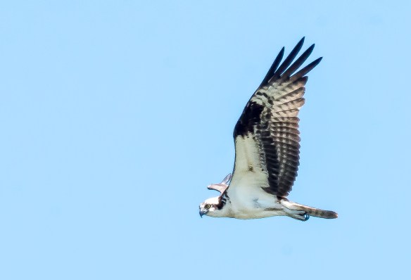 Lin and Michael's Photos