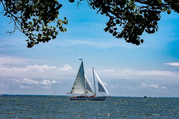 Lin and Michael's Photos